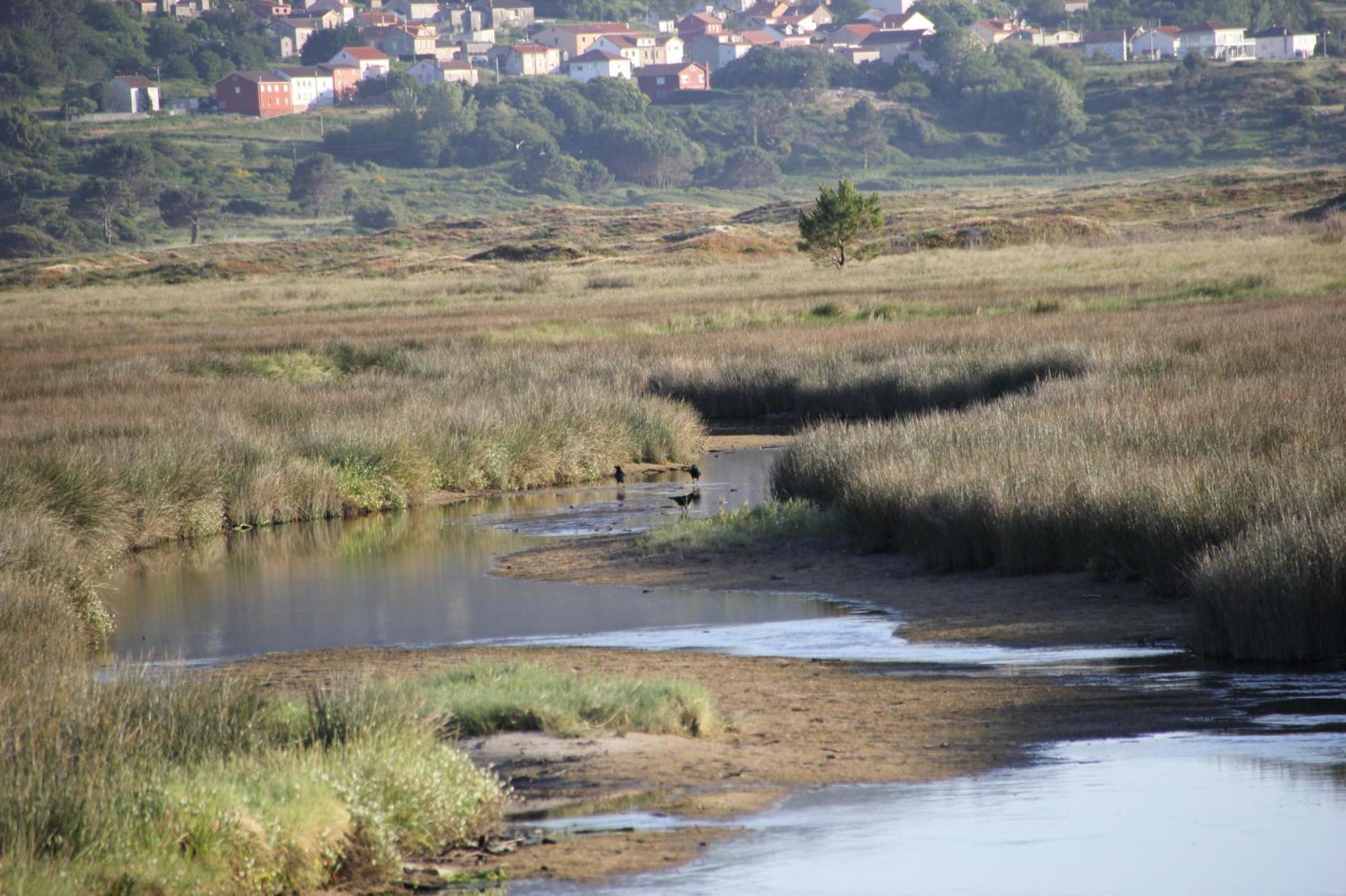 Mirador Playa Ribeira - Fisterra Lägenhet Exteriör bild